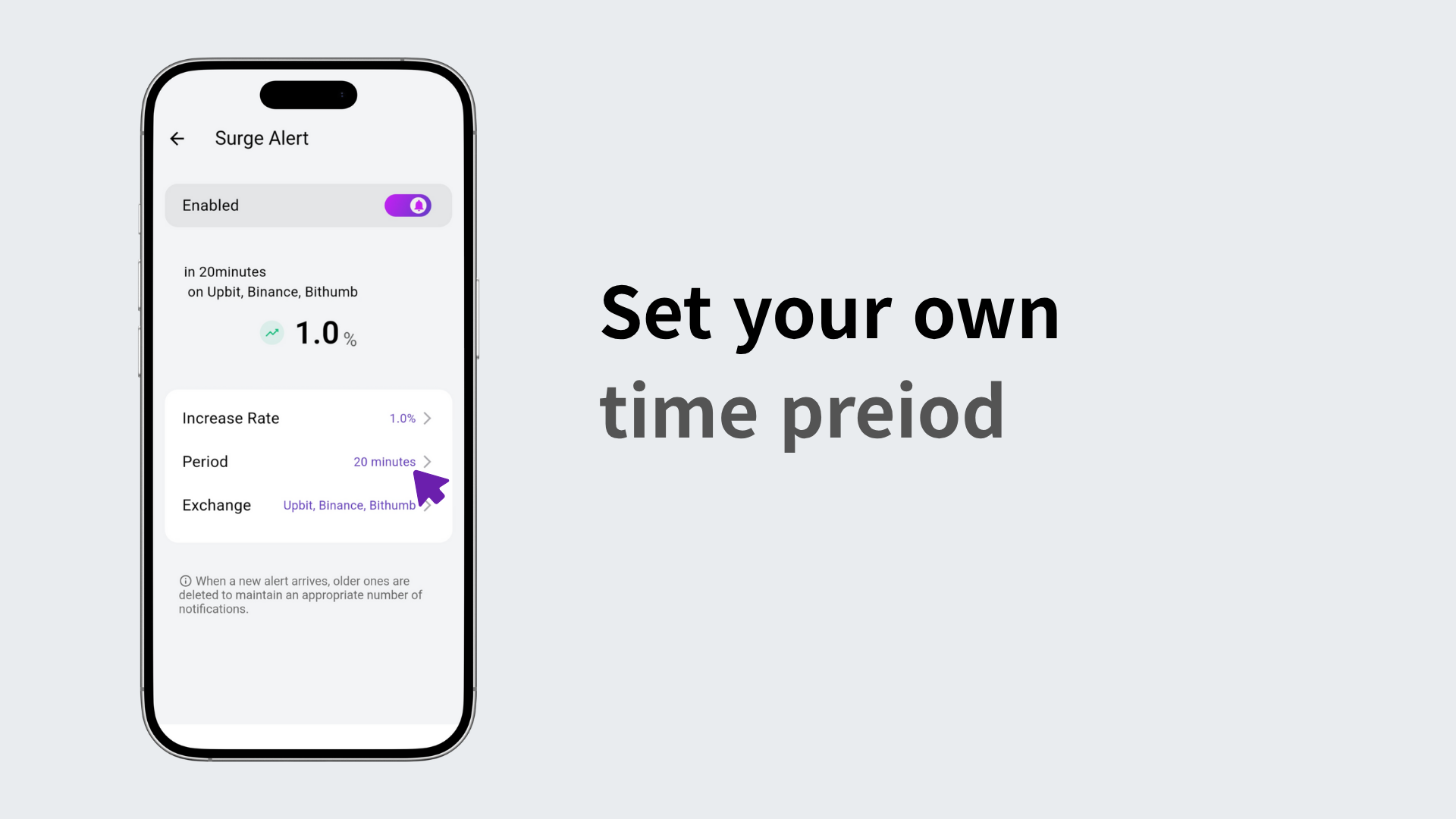 User setting the notification period freely